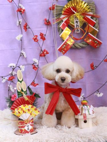 20230125ランチくん